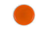 Flying Disc Frisbee with Dinosaur Orange 20 Cm