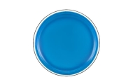 Flying Disc Frisbee with Dinosaur Blue 20 Cm