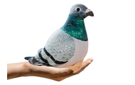 Maskotka Pluszowy Gołąb Grzywacz Szary 20cm