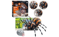 Nuotoliniu būdu valdomas voras Tarantulas infraraudonųjų spindulių juodas R/C ST
