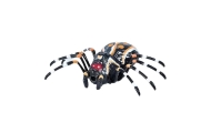 Nuotoliniu būdu valdomas voras Tarantulas infraraudonųjų spindulių juodas R/C ST