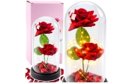 Amžinosios 2 rožės kupole su LED apšvietimu ir rožių žiedlapiais Raudona 21x11cm