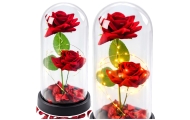 Amžinosios 2 rožės kupole su LED apšvietimu ir rožių žiedlapiais Raudona 21x11cm
