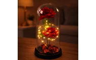Wieczne 2 Róże w Kopule z Oświetleniem LED i Płatkami Róż Czerwone 21x11cm