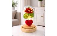 Eternal Rose in Dome with LED Lighting Red with Heart 14x8cm