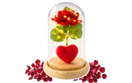 Eternal Rose in Dome with LED Lighting Red with Heart 14x8cm