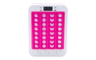 Electronic Rhythmic Game Fruit Lights Sounds Pink