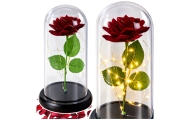 Wieczna Róża w Kopule z Oświetleniem LED Czerwona 21x11cm