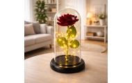 Amžinoji rožė stikliniame kupole LED apšvietimas 21x11cm Raudona