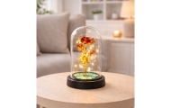 Amžinoji rožė kupole su LED apšvietimu Raudona 21x11cm