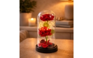 Amžinosios 2 rožės kupole su LED apšvietimu ir rožių žiedlapiais Raudona 21x11cm