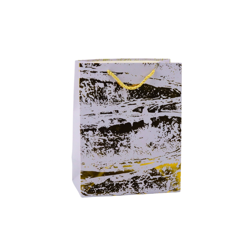 Elegantiškas auksinis dovanų maišelis 23 x 18 x 10 cm