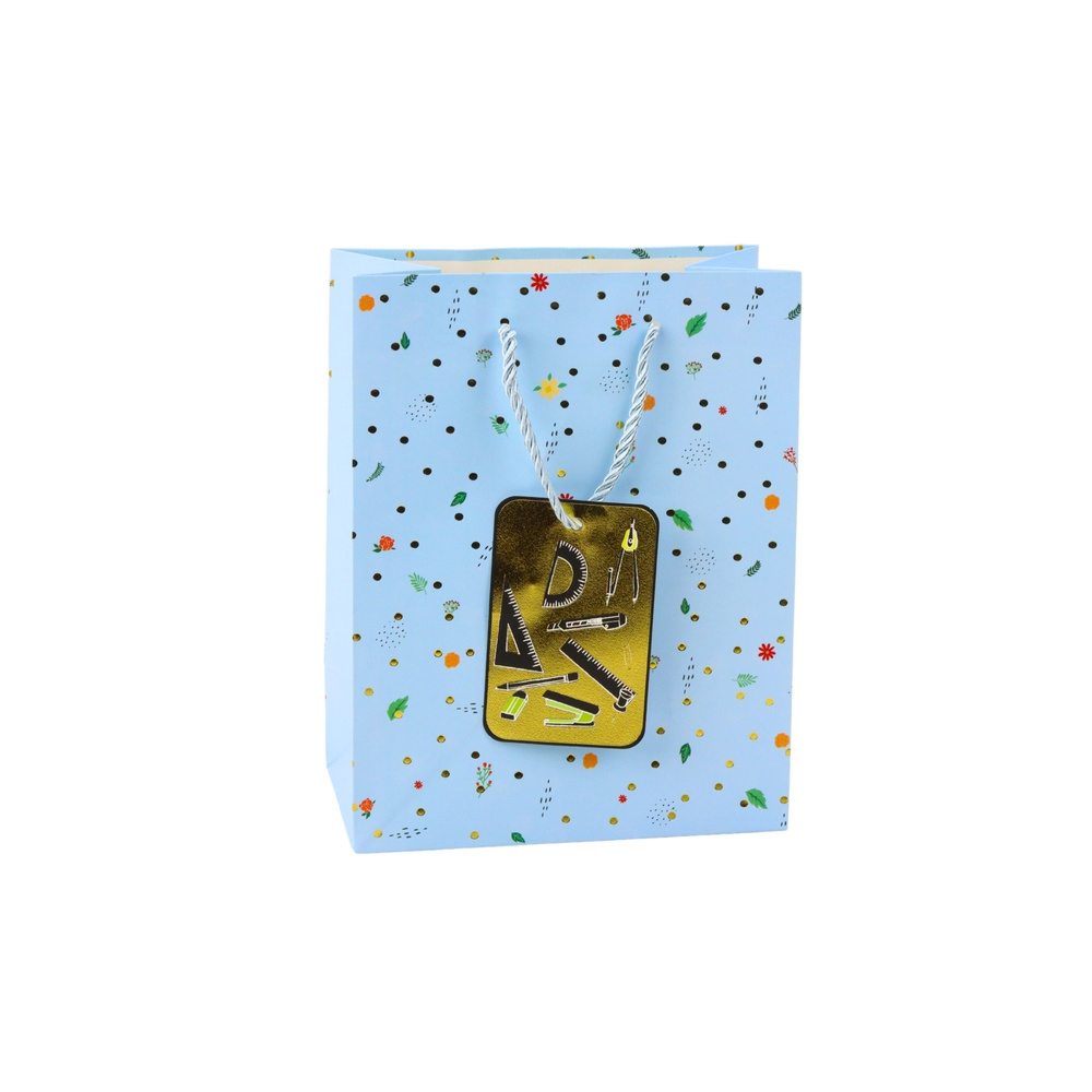 Student Teacher Gift Bag 23 x 18 x 10.5 cm