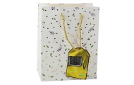 Student Teacher Gift Bag 32 x 26 x 12 cm