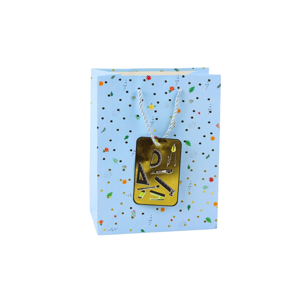 Student Teacher Gift Bag 32 x 26 x 12 cm