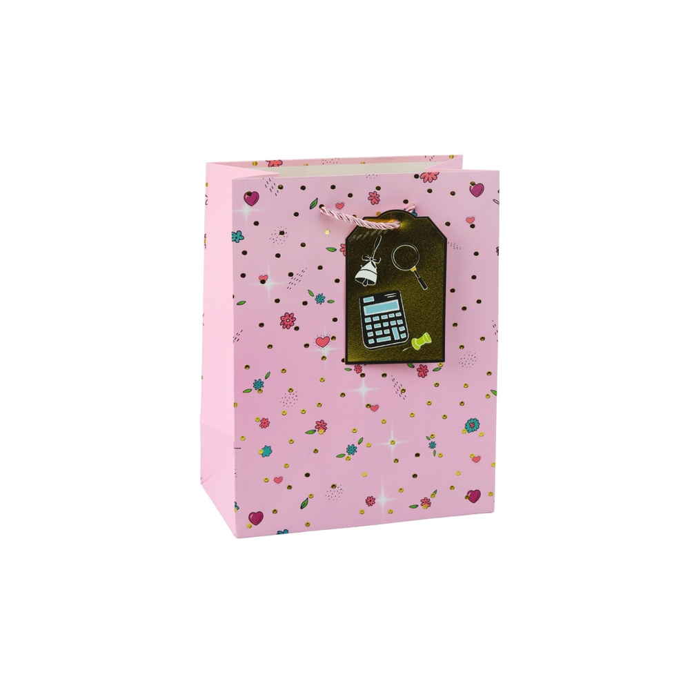 Student Teacher Gift Bag 32 x 26 x 12 cm