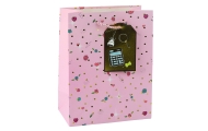 Student Teacher Gift Bag 32 x 26 x 12 cm