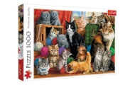 Puzzle - 1000 - Kocie Spotkanie - Trefl 10555
