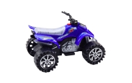 Visureigis keturratis QUAD mėlynas