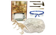 Zestaw Paleontologa Wykopaliska Szkielet Dinozaura Narzędzia