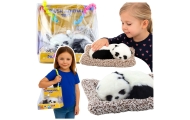 Śpiąca Panda Na Poduszce Figurka z Futerkiem Przeźroczysta Torba