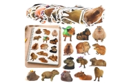 Lipdukų rinkinys Capybara Real Images 50 vnt