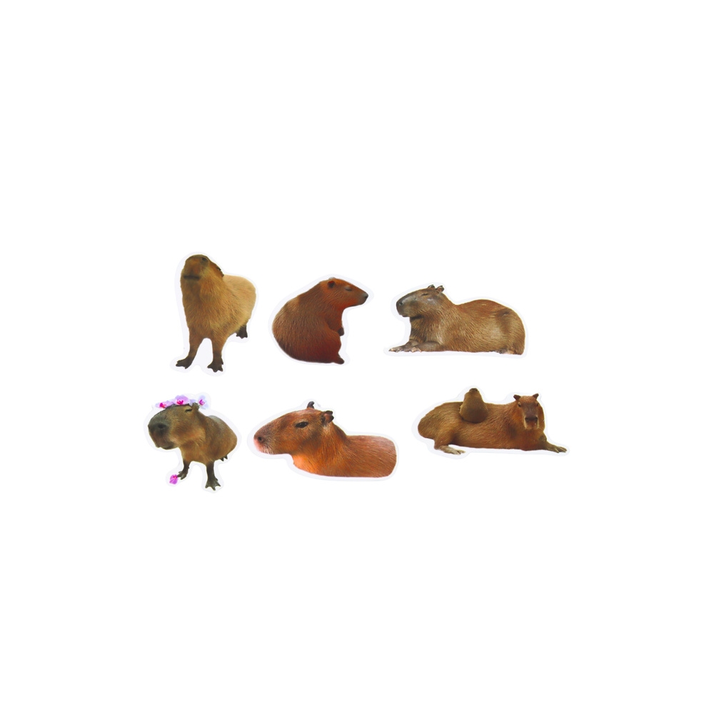 Lipdukų rinkinys Capybara Real Images 50 vnt