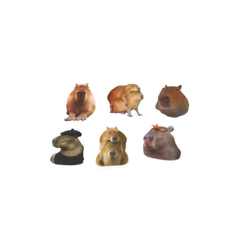 Lipdukų rinkinys Capybara Real Images 50 vnt