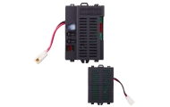 Valdymo blokas RX101 24V modulis