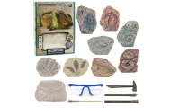 Zestaw Paleontologiczny Wykopaliska Blok Gipsowy Narzędzia