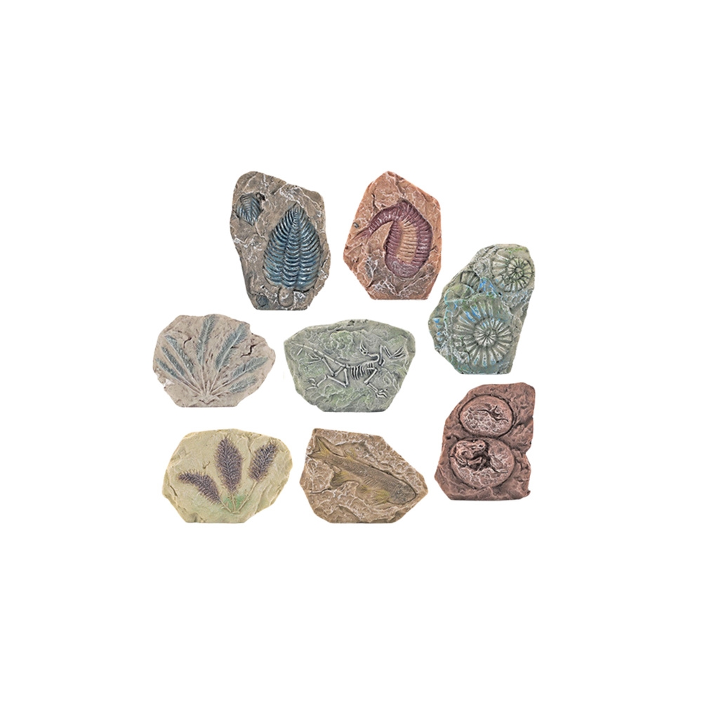 Paleontologinių kasinėjimų rinkinys Gipso blokai įrankiai-Žaislai, Profesijos, buities žaislai, Moksliniai žaislai-e-vaikas