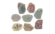 Paleontologinių kasinėjimų rinkinys Gipso blokai įrankiai-Žaislai, Profesijos, buities žaislai, Moksliniai žaislai-e-vaikas