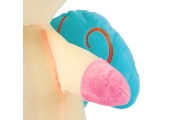 Zabawka pluszowa z Projektorem Milly Unicorn