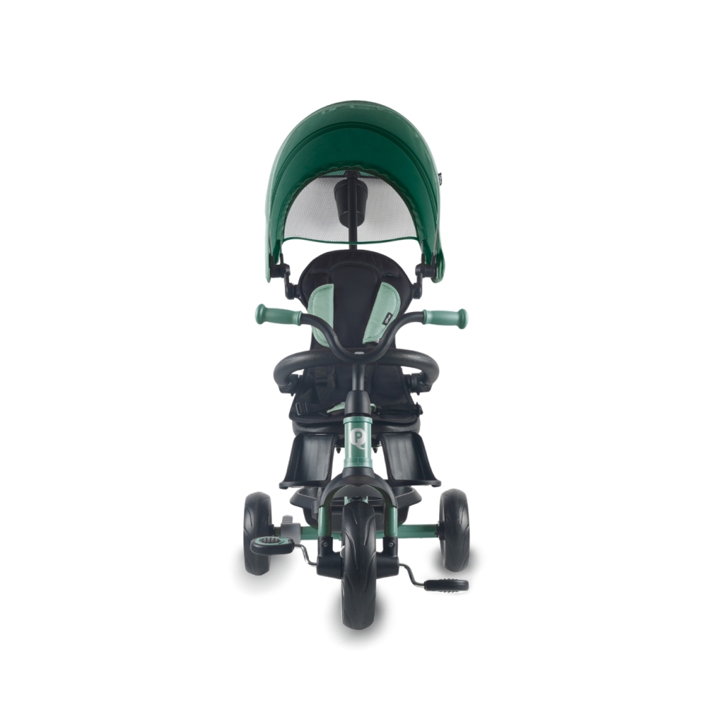 Qplay Rowerek Trójkołowy Elite Platinum Green