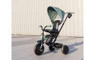Qplay Rowerek Trójkołowy Elite Platinum Green