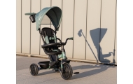 Qplay Rowerek Trójkołowy Elite Platinum Green