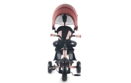 Qplay Rowerek Trójkołowy Elite Platinum Pink