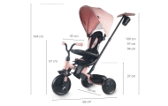 Qplay Rowerek Trójkołowy Elite Platinum Pink