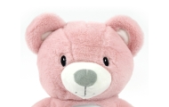Zabawka pluszowa z Projektorem Milly Bear Pink