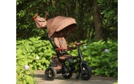 Qplay Rowerek Trójkołowy Rito Deluxe Rubber Brown