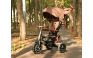 Qplay Rowerek Trójkołowy Rito Deluxe Rubber Brown