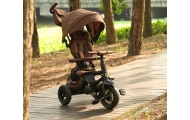 Qplay Rowerek Trójkołowy Rito Deluxe Rubber Brown