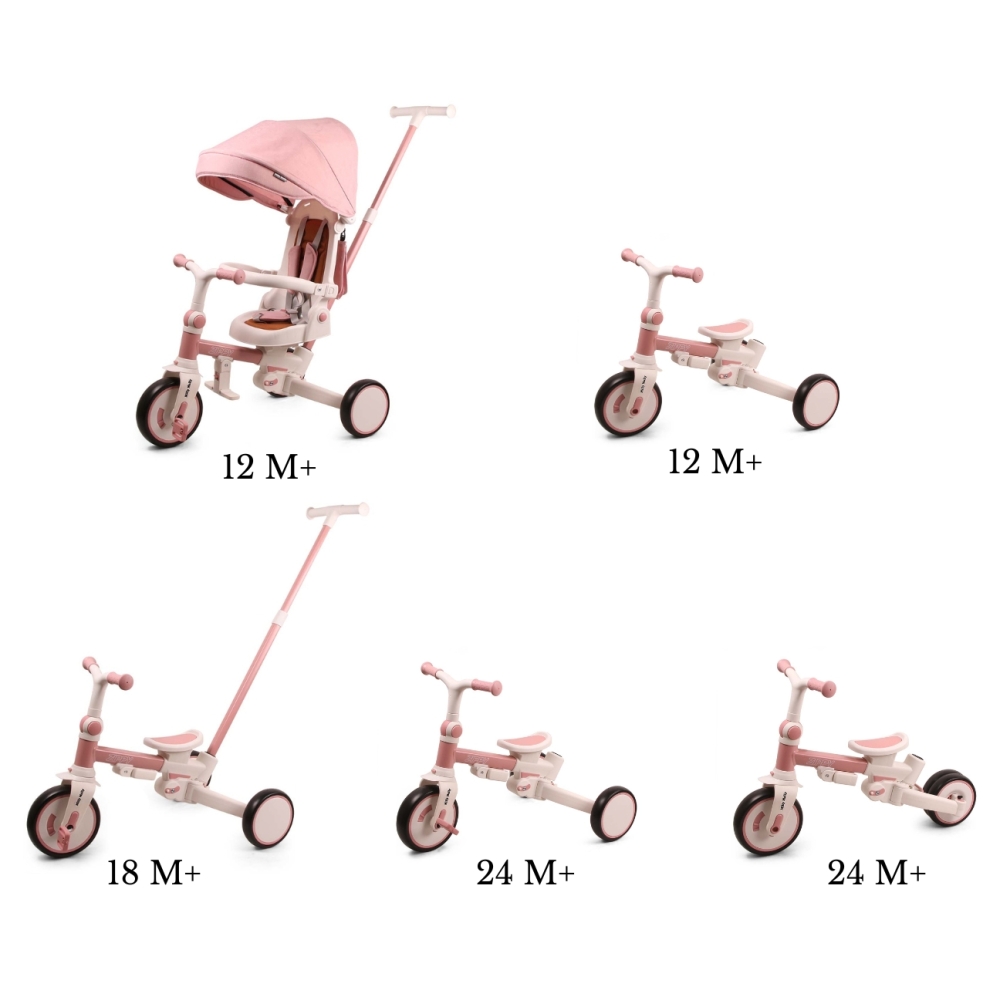 Triratis Zippy, Pink-Judėjimui, Triratukai vaikams-e-vaikas