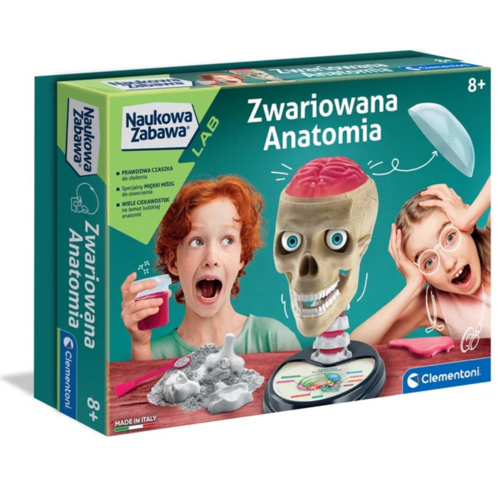Mokslo anatomija Žmogaus kaukolės modelio rinkinys Lenkų kalba Clementoni 50697-Žaislai, Profesijos, buities žaislai, Moksliniai