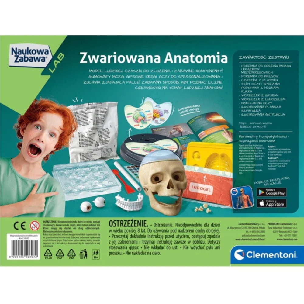Mokslo anatomija Žmogaus kaukolės modelio rinkinys Lenkų kalba Clementoni 50697-Žaislai, Profesijos, buities žaislai, Moksliniai