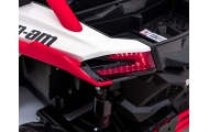 Elektrinis Buggy Maverick Turbo RR, Red