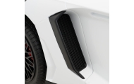 Dvivietis elektromobilis Lamborghini Aventador SV, White-Elektromobiliai vaikams, Mašinos-e-vaikas