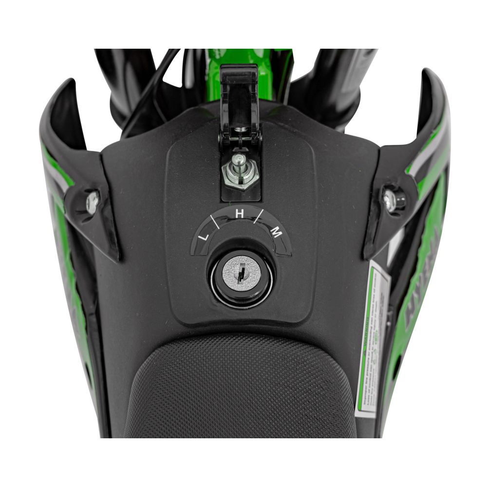 Elektrinis motociklas RENEGADE 50R, Green