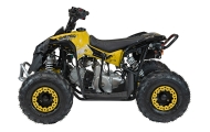 Pojazd Quad Spalinowy RENEGADE HIPERFECT 110CC Żółty