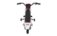 Elektrinis motociklas PANTONE 361C, Red-Elektromobiliai vaikams, Motociklai-e-vaikas